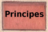 beige principes